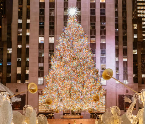 NEW YORK NEW YORK